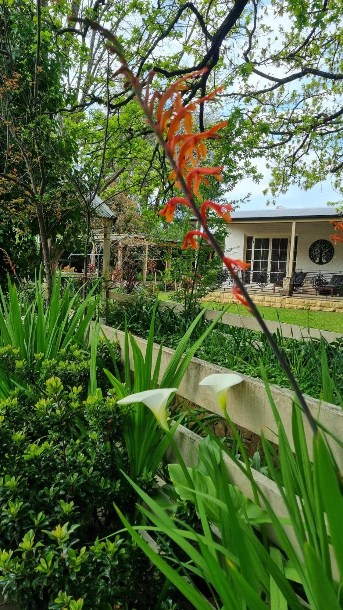 Hahndorf House B&B Exterior photo